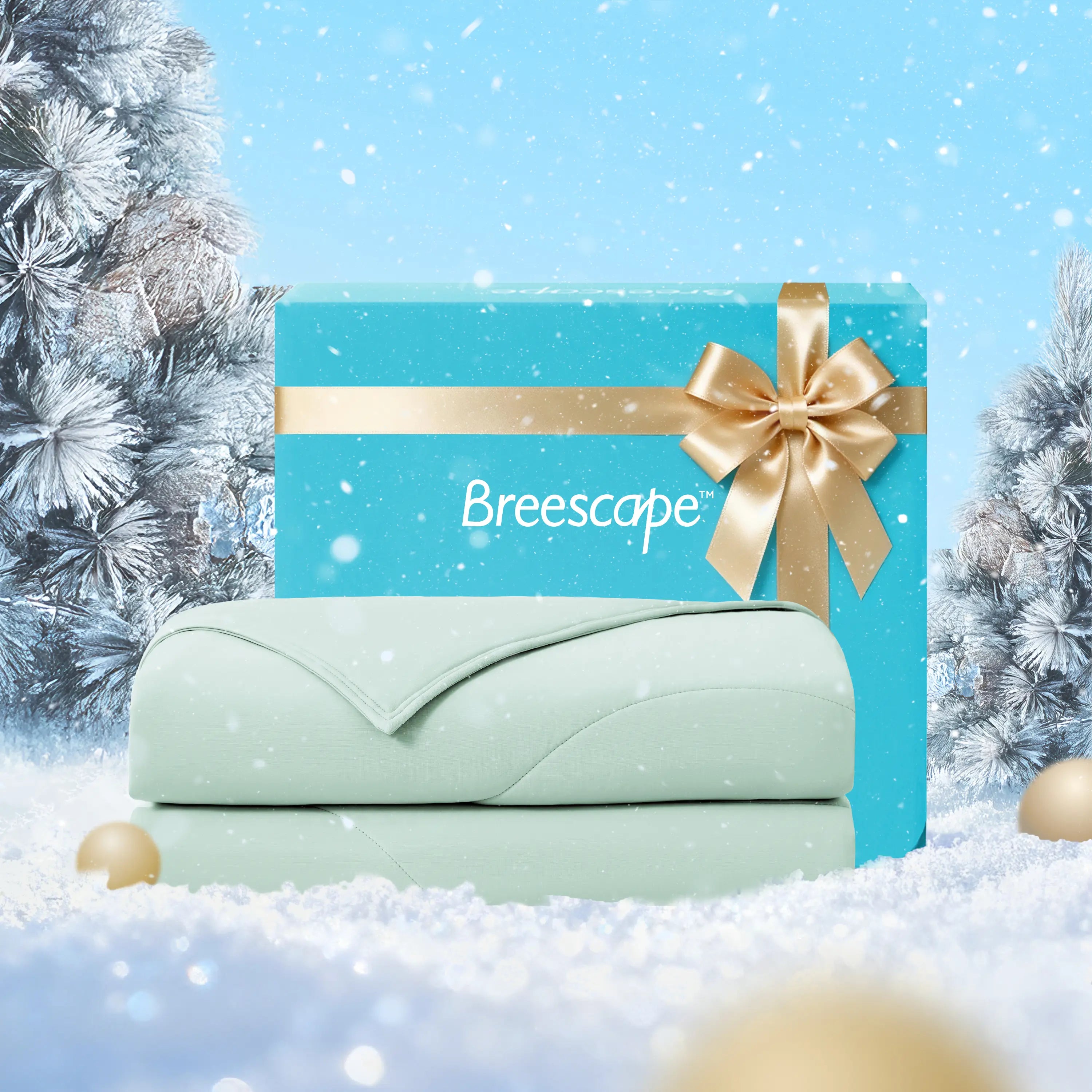 Teal gift box with gold ribbon and 'Breescape' branding on a snowy background