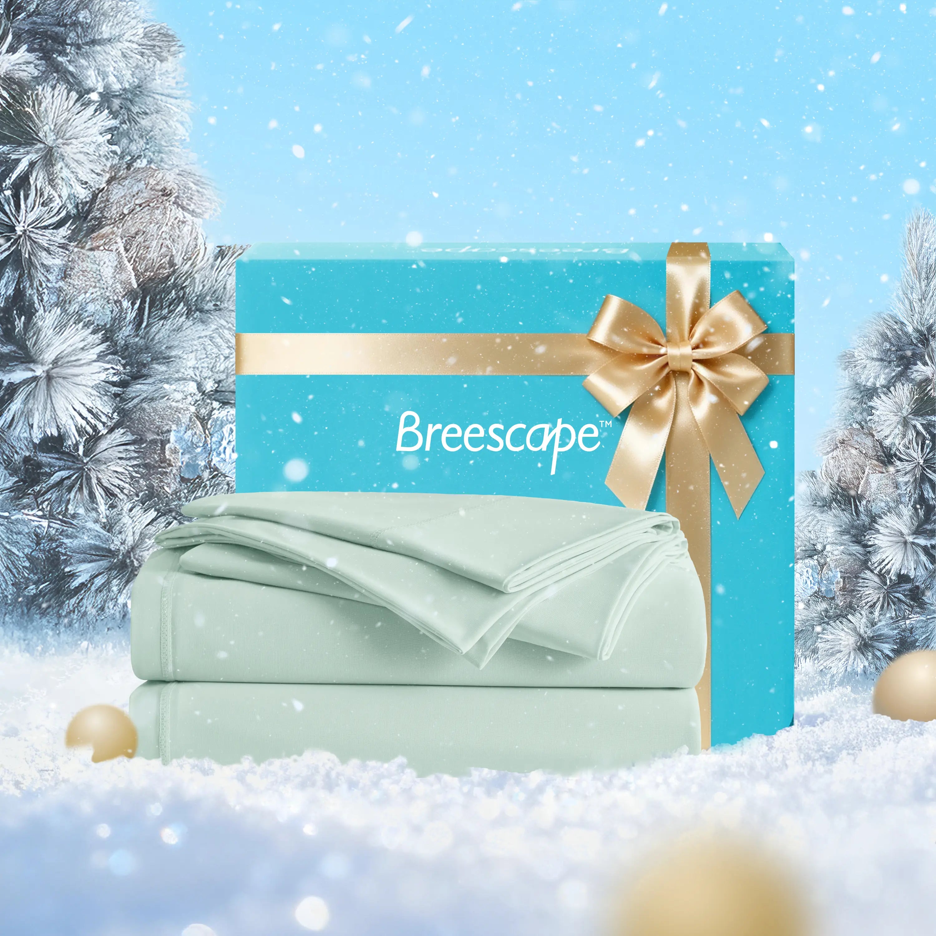 Teal gift box with gold ribbon and 'Breescape' branding on a snowy background