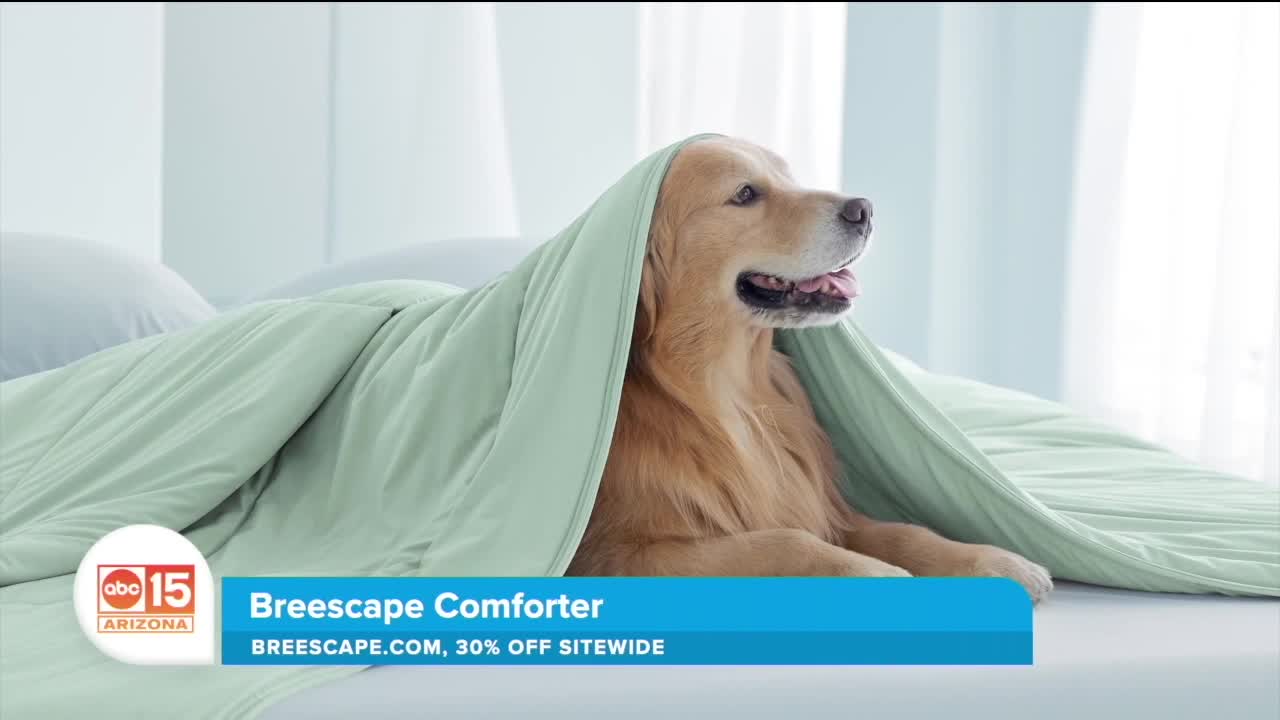 Dog wrapped in a green blanket with a promotional banner for Breescape Comforter.