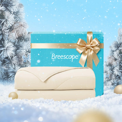 Blue gift box with a gold ribbon and 'Breescape' branding, set against a snowy background.