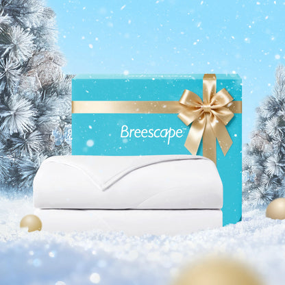 Blue gift box with gold ribbon and 'Breescape' logo on a snowy background