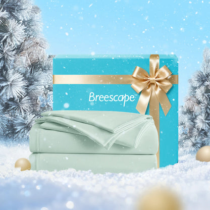 Teal gift box with gold ribbon and 'Breescape' branding on a snowy background