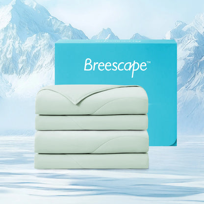 2-Pack Comforter Bundle