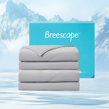 2-Pack Comforter Bundle