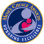 Misty Grey / Throw Mom's Choice Awards